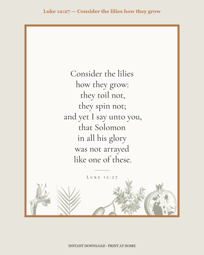 Luke 12:27 — Verse family bundle · card, copywork, colouring page and wall card
