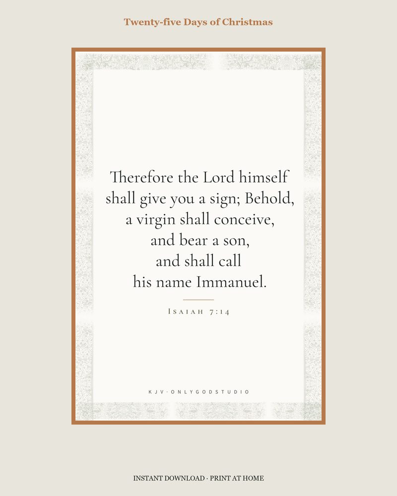 Twenty-five Days of Christmas KJV Memory cards · 25 cards, one a day to Christmas